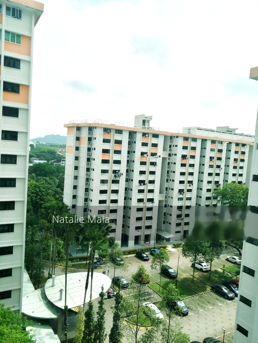 Blk 303 Clementi Avenue 4 (Clementi), HDB 4 Rooms #201675702